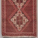 1049 3072 ORIENTAL RUG